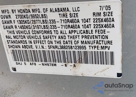 2005 Honda Odyssey Touring z USA, uszkodzony, nr VIN 5FNRL38825B123995